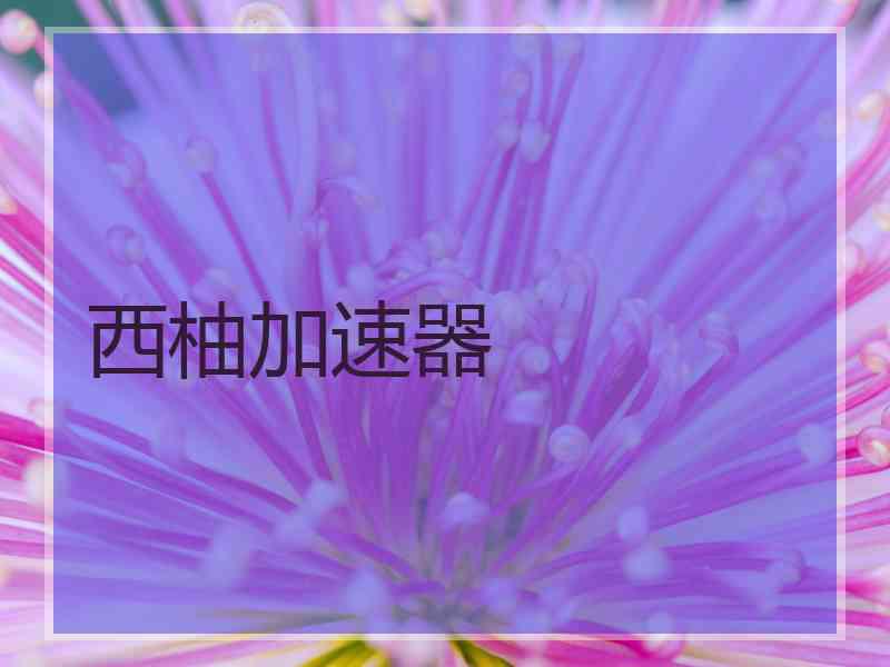 西柚加速器