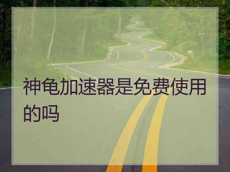 神龟加速器是免费使用的吗