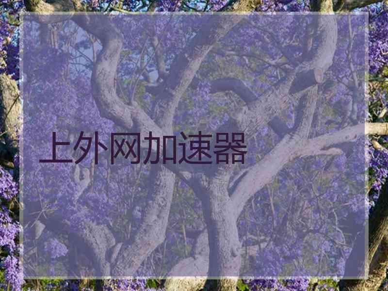 上外网加速器