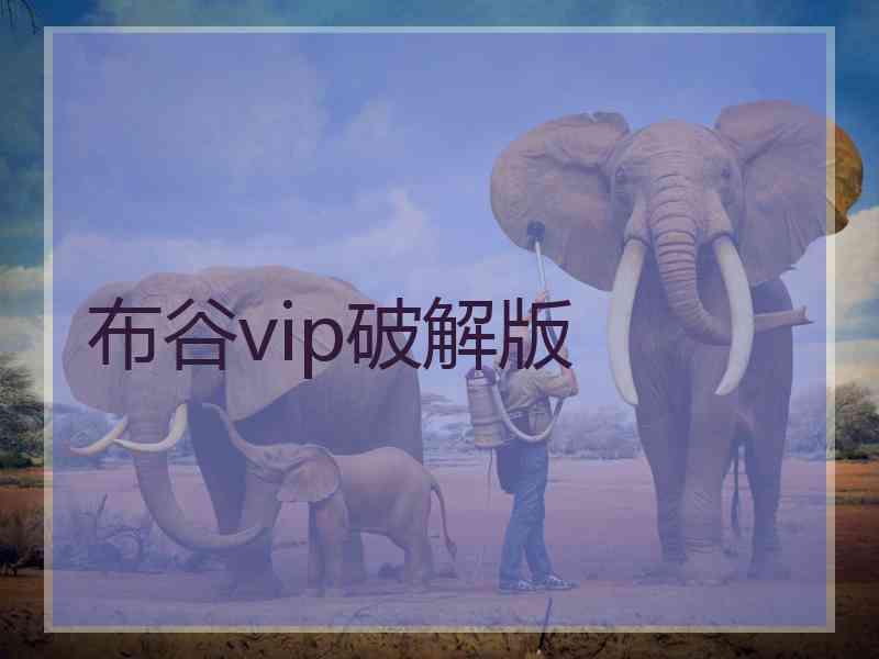 布谷vip破解版