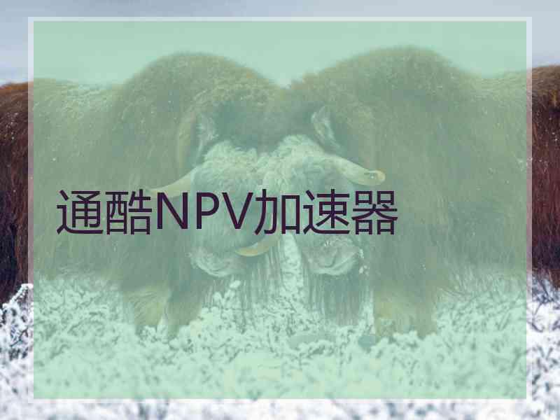 通酷NPV加速器