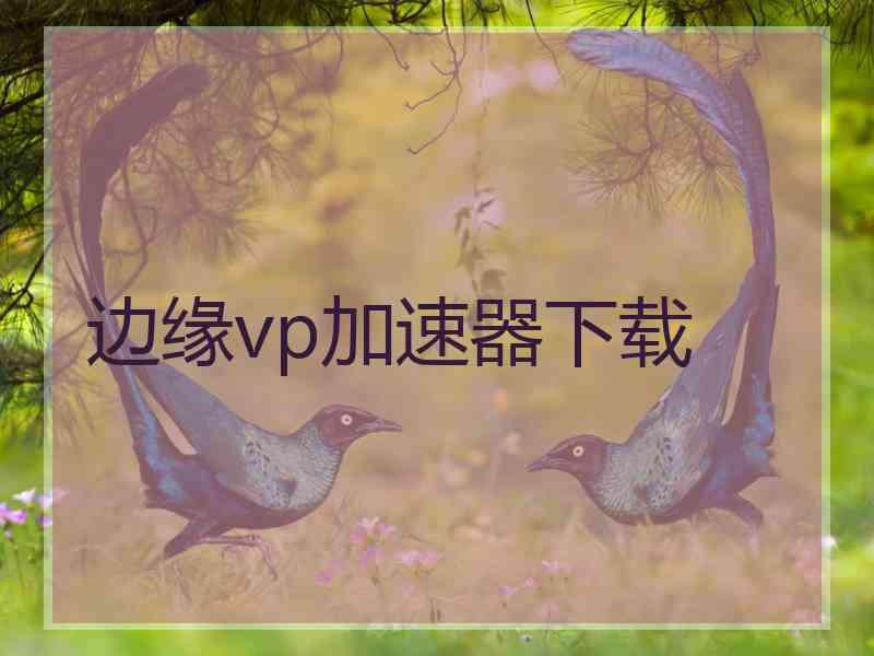 边缘vp加速器下载