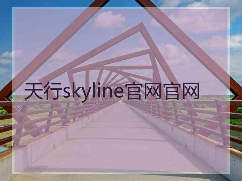 天行skyline官网官网