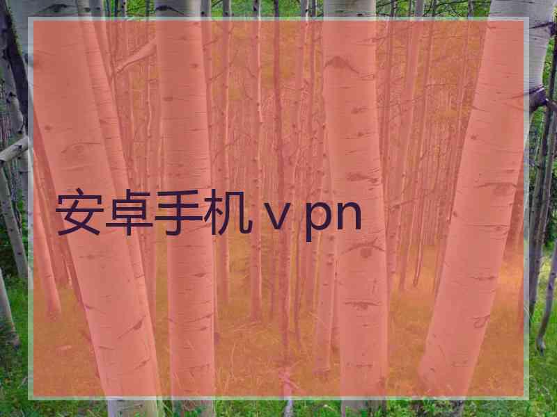 安卓手机ⅴpn