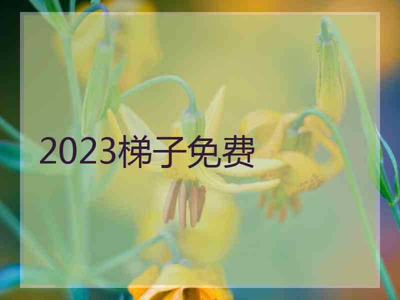 2023梯子免费