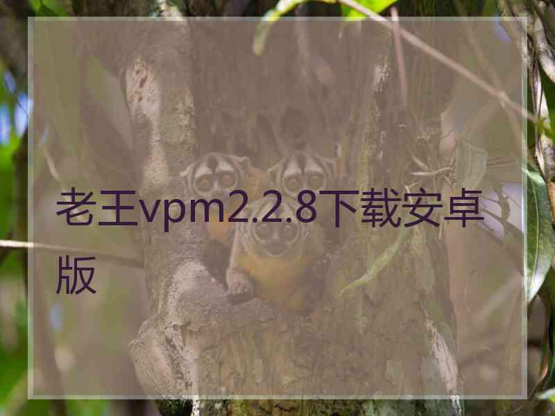 老王vpm2.2.8下载安卓版