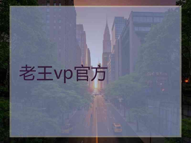老王vp官方
