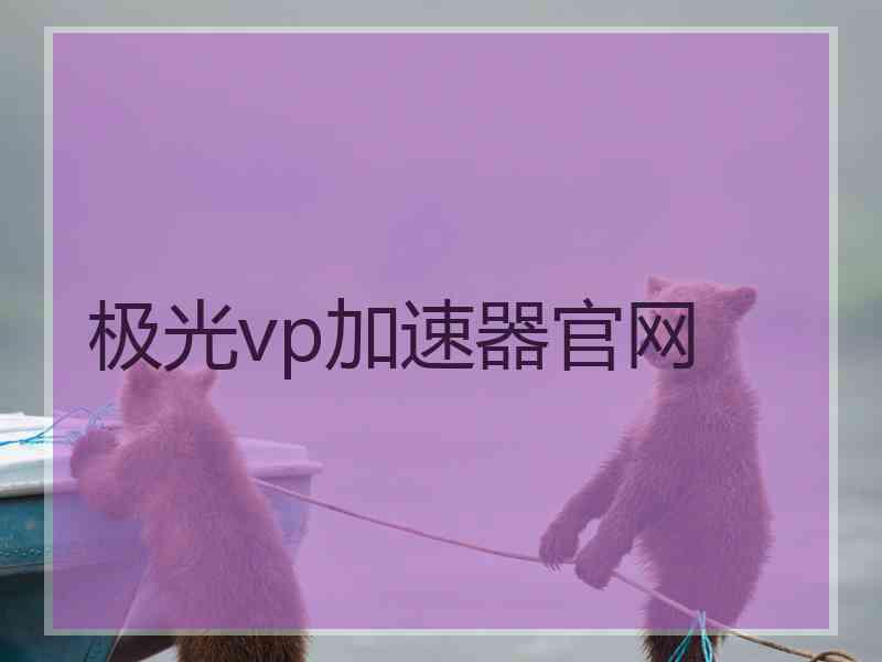 极光vp加速器官网
