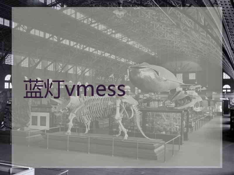 蓝灯vmess
