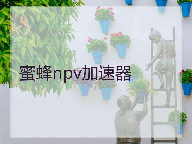蜜蜂npv加速器