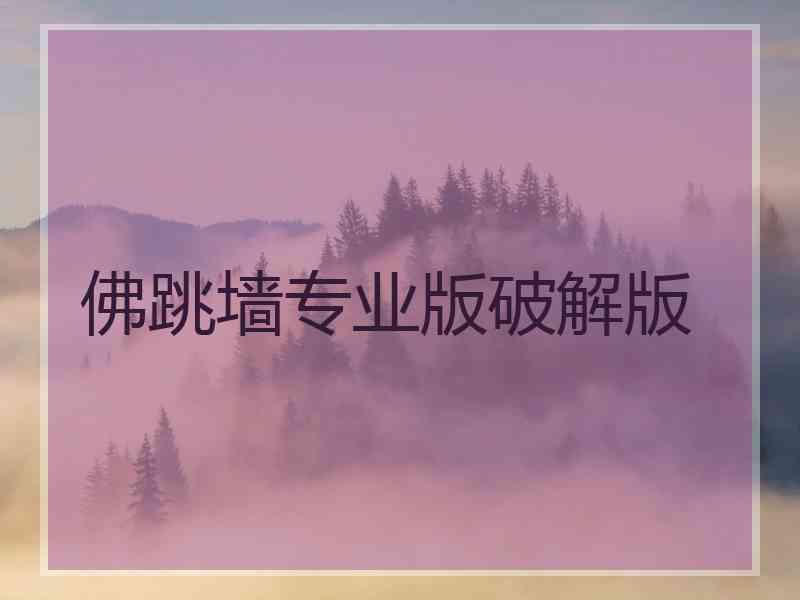 佛跳墙专业版破解版
