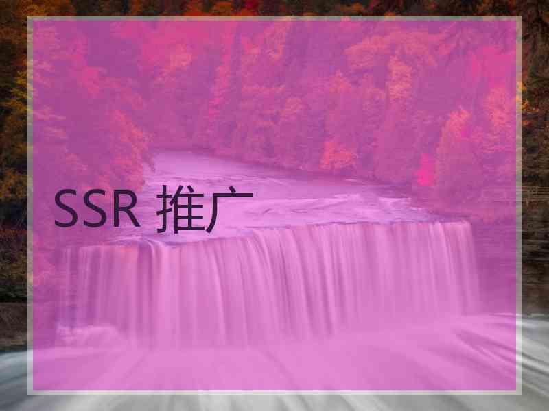 SSR 推广