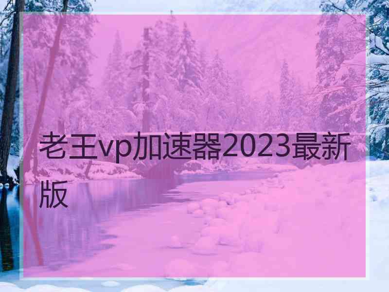 老王vp加速器2023最新版
