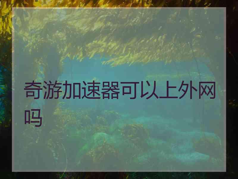 奇游加速器可以上外网吗