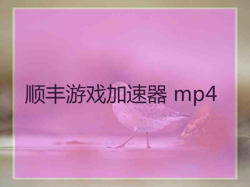 顺丰游戏加速器 mp4