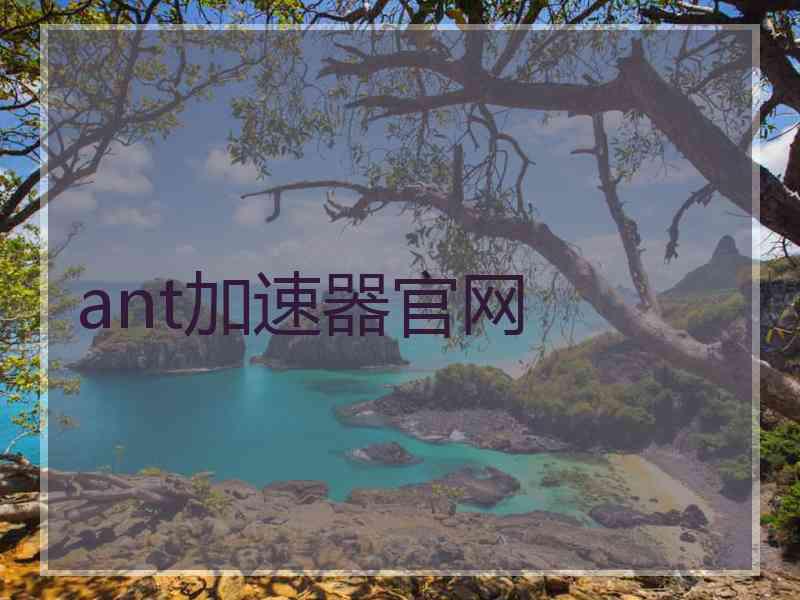 ant加速器官网