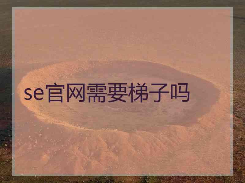 se官网需要梯子吗