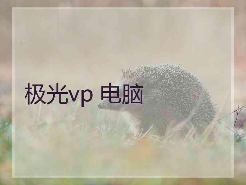 极光vp 电脑