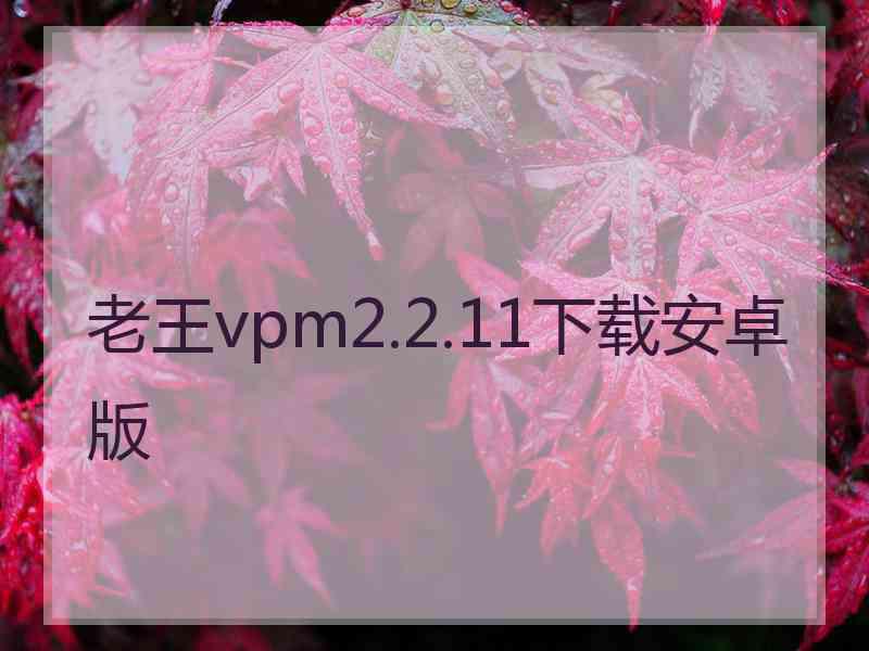 老王vpm2.2.11下载安卓版