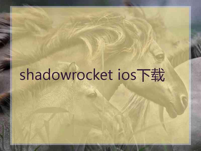 shadowrocket ios下载