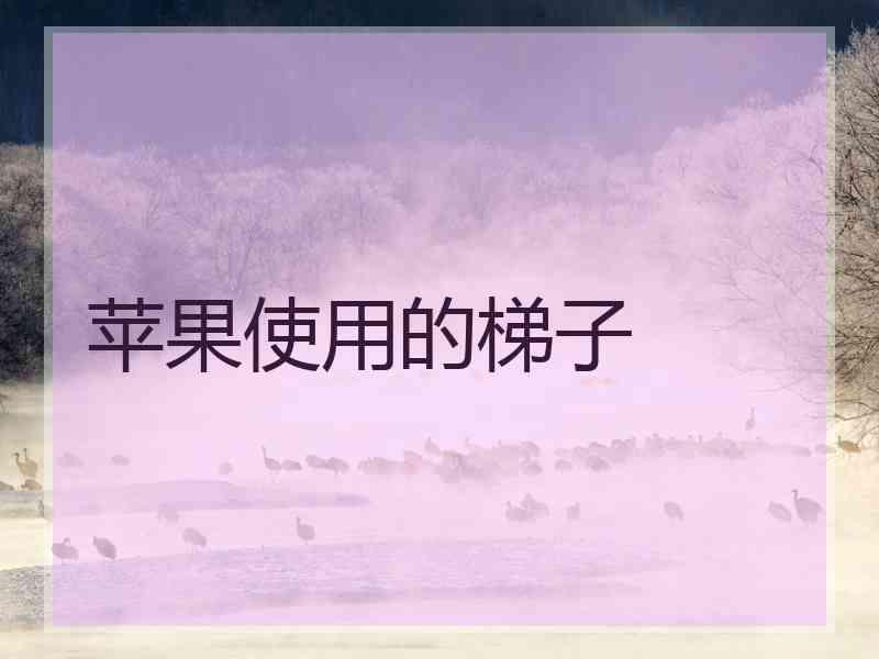 苹果使用的梯子