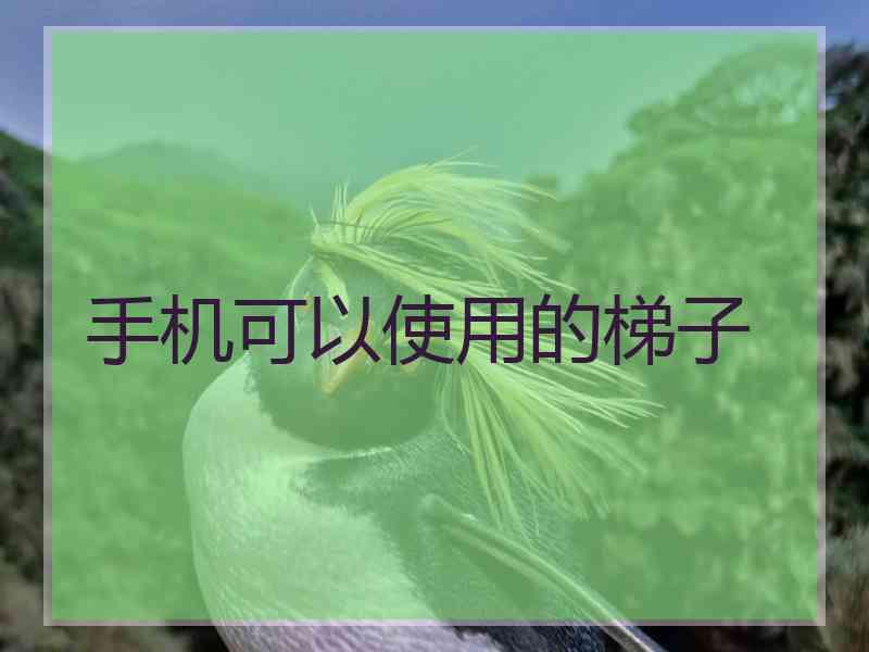 手机可以使用的梯子