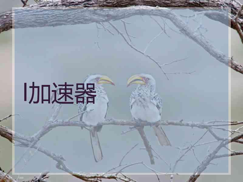 l加速器
