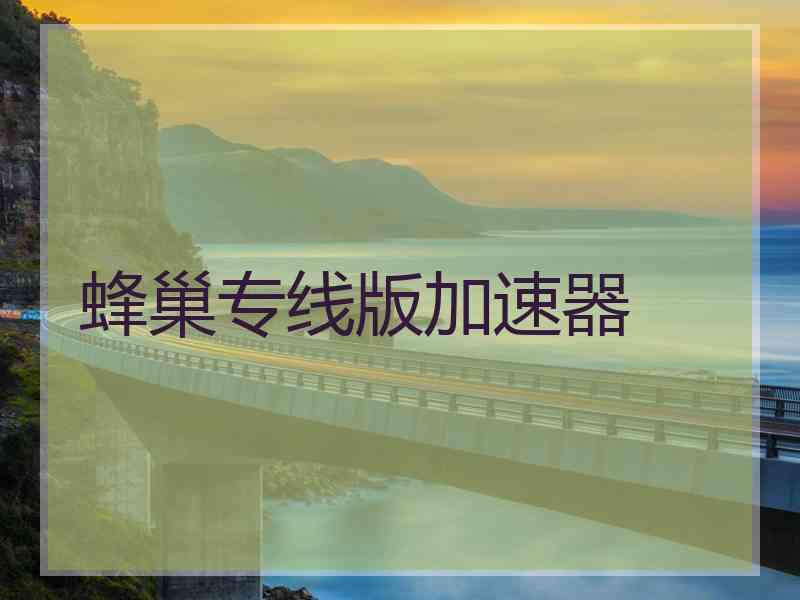 蜂巢专线版加速器