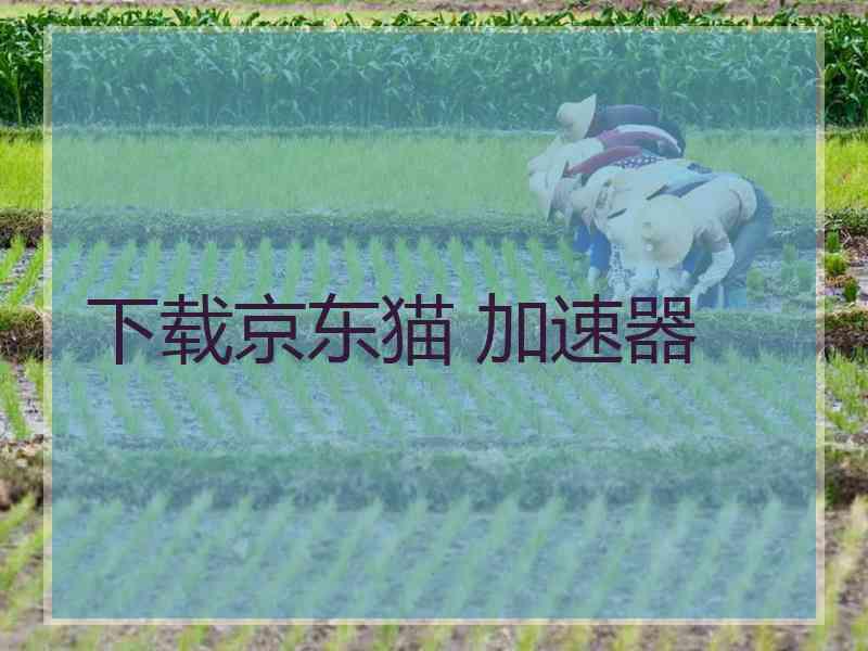下载京东猫 加速器