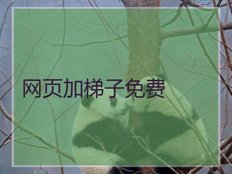 网页加梯子免费