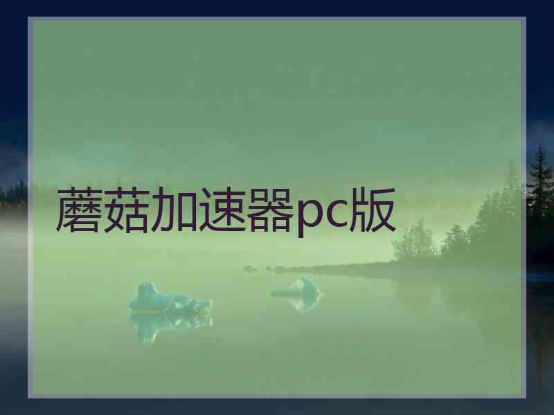 蘑菇加速器pc版