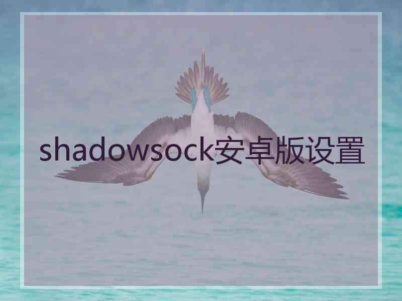shadowsock安卓版设置