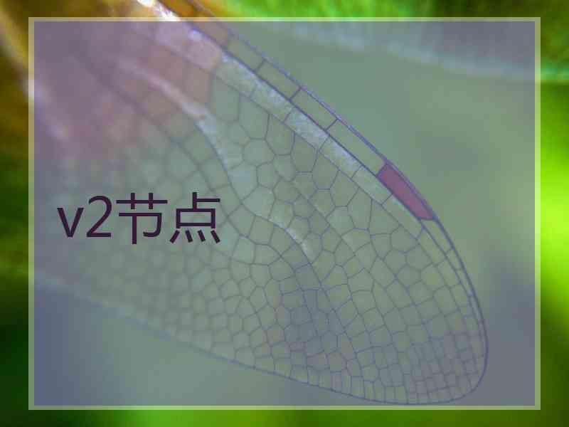 v2节点