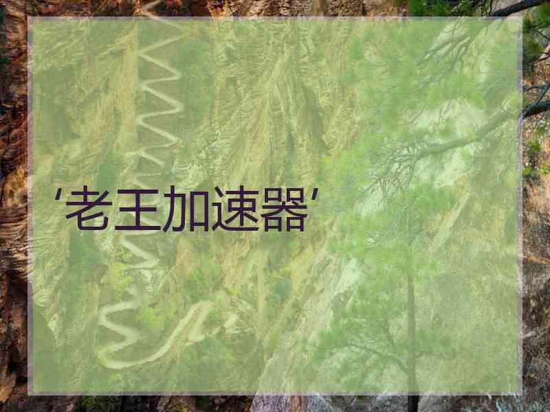 ‘老王加速器’