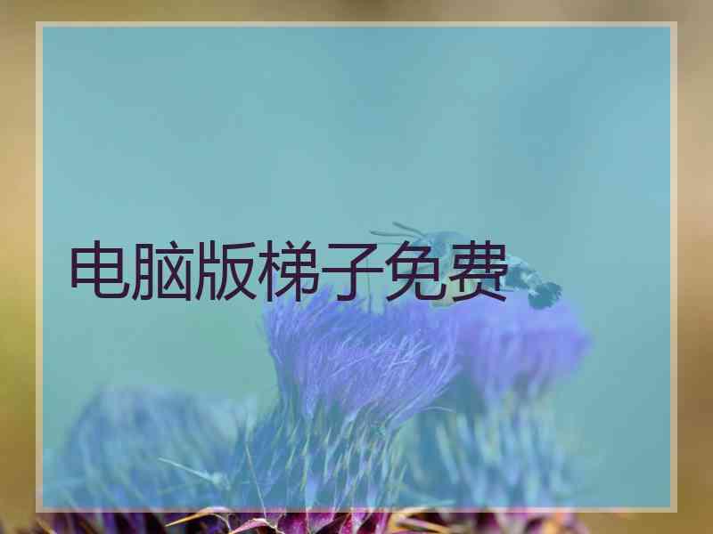 电脑版梯子免费
