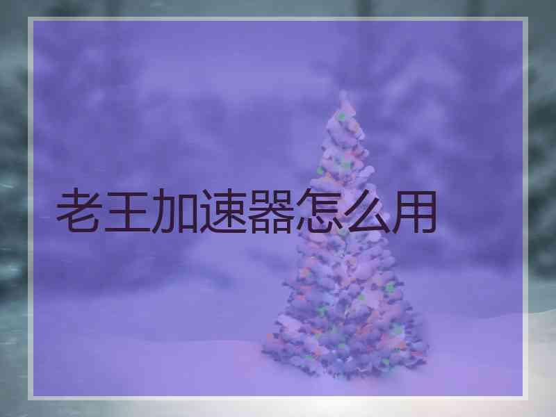 老王加速器怎么用
