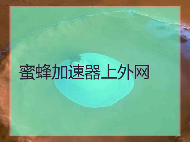 蜜蜂加速器上外网