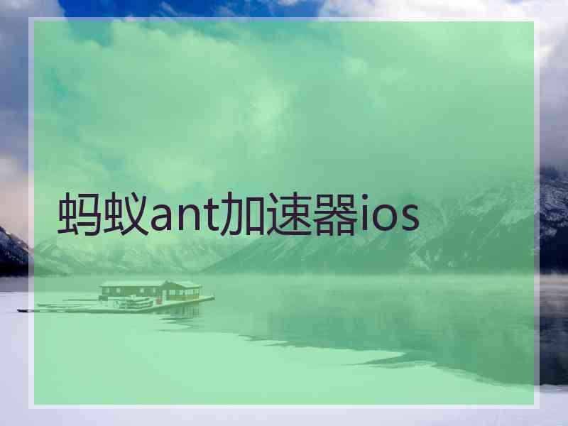 蚂蚁ant加速器ios