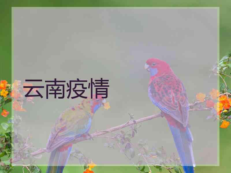 云南疫情