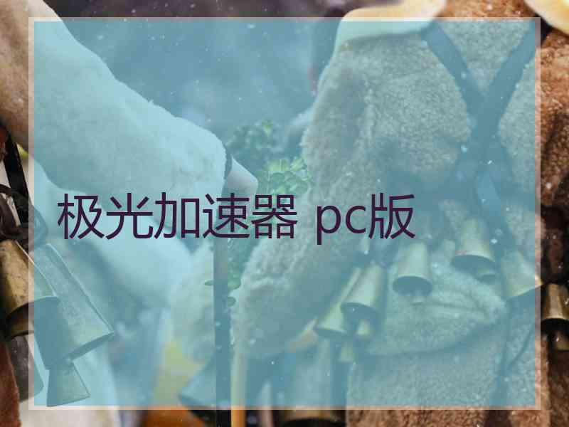 极光加速器 pc版