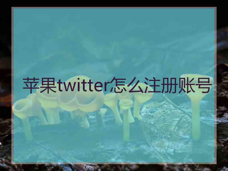 苹果twitter怎么注册账号