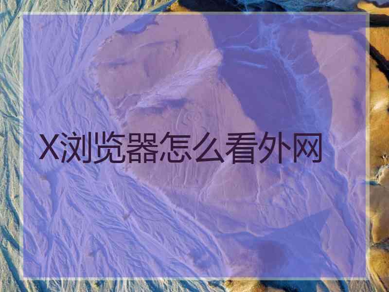 X浏览器怎么看外网