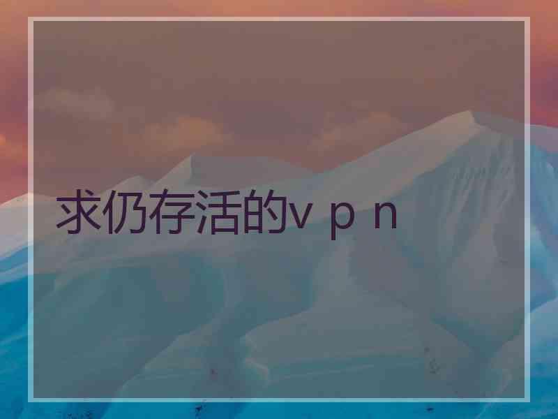 求仍存活的v p n