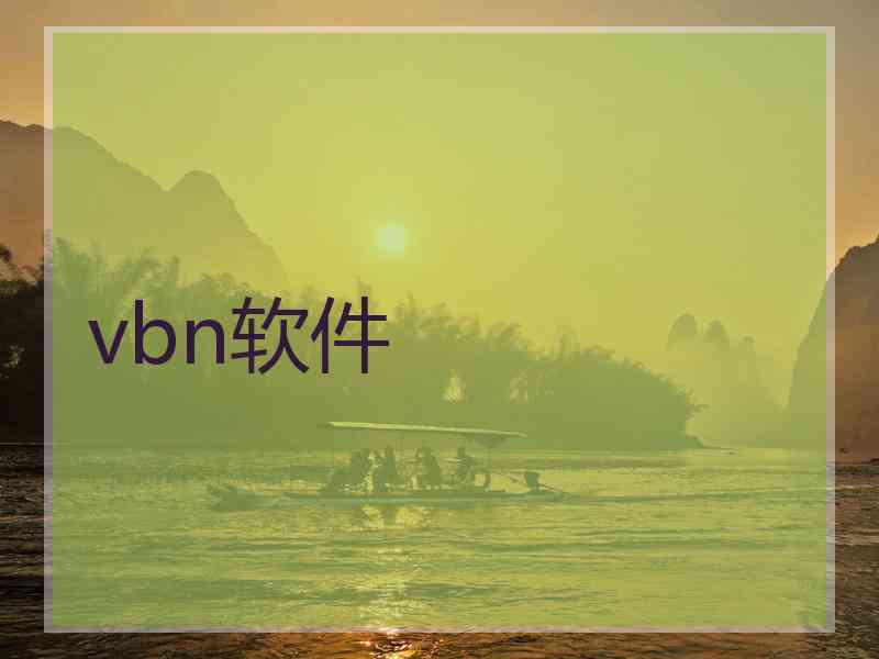 vbn软件