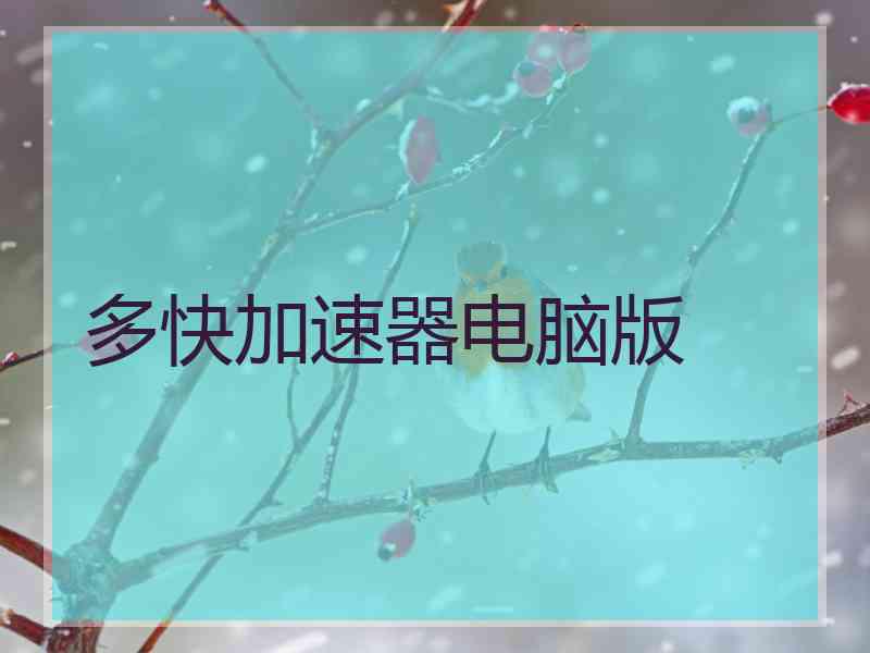 多快加速器电脑版