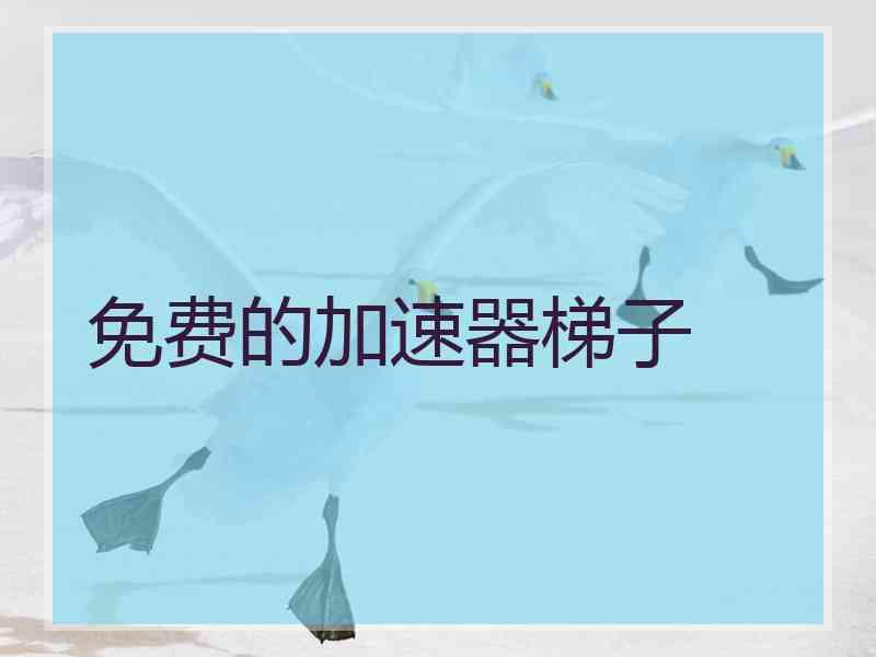 免费的加速器梯子