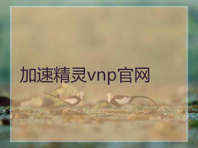 加速精灵vnp官网