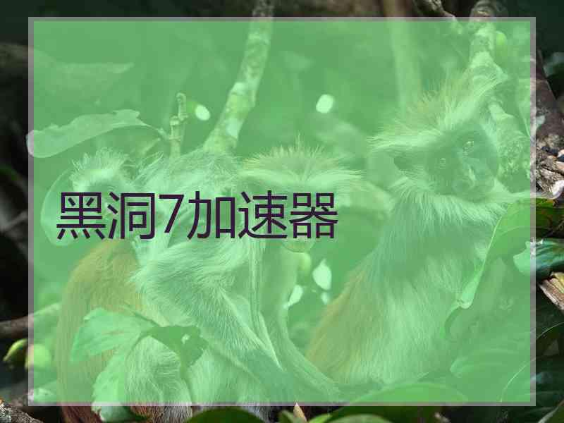黑洞7加速器