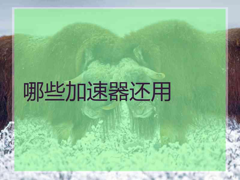 哪些加速器还用