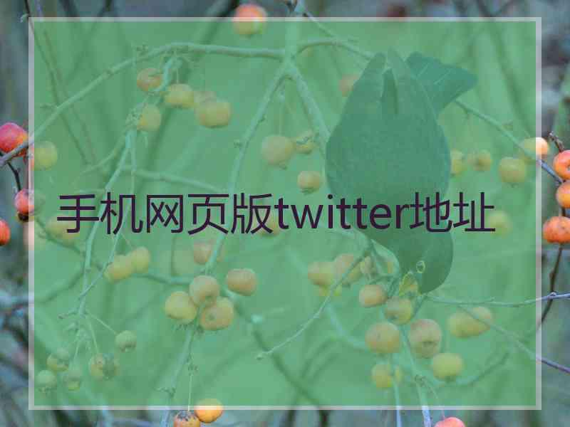 手机网页版twitter地址
